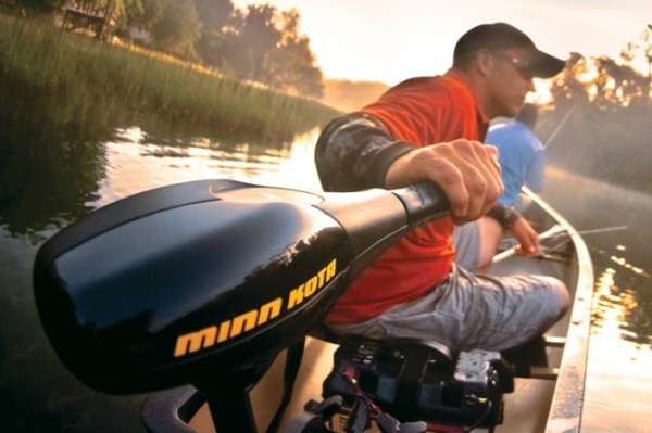 Электромотор Minn Kota ENDURA 55 C2